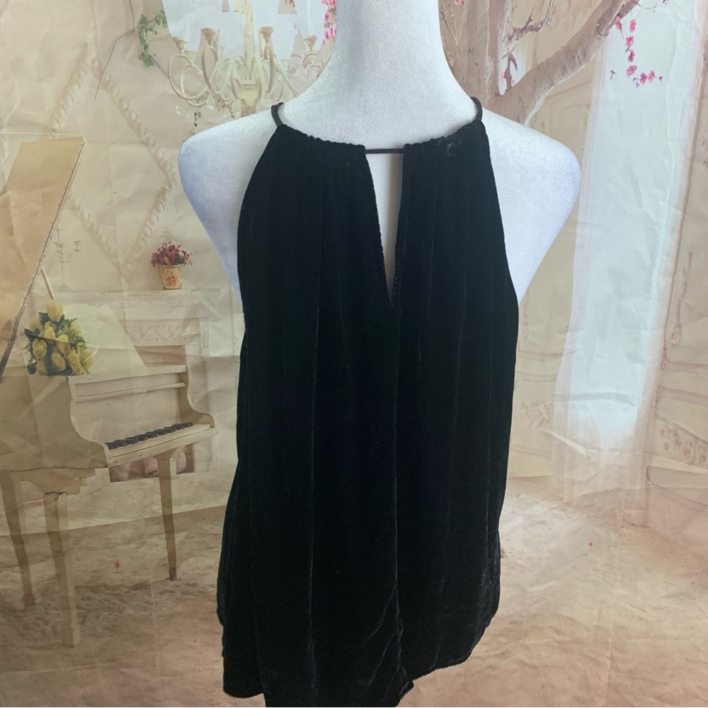 Velvet by Graham & Spencer ALEAHA SILK VELVET HALTER TOP - Picture 10 of 13